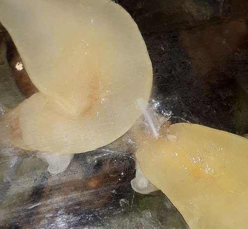 2019-05-21 (15) - Kopie.jpg