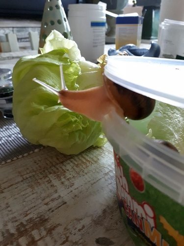 2019-05-15 (6) - Kopie.jpg