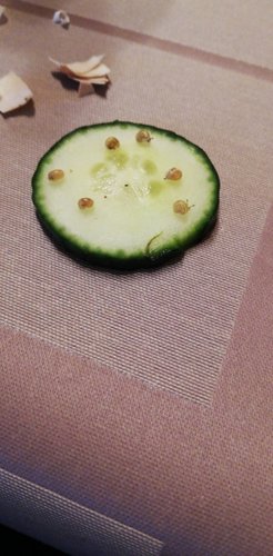 IMG-20190624-WA0019.jpeg
