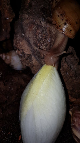 20190627_184354.jpg