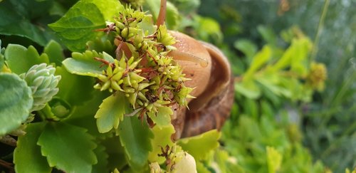 20190730_193611.jpg