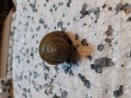 20190808_183537.jpg