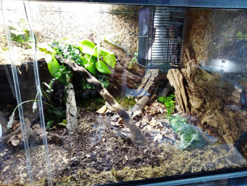 Ovum_Terrarium_rechte Seite.jpg