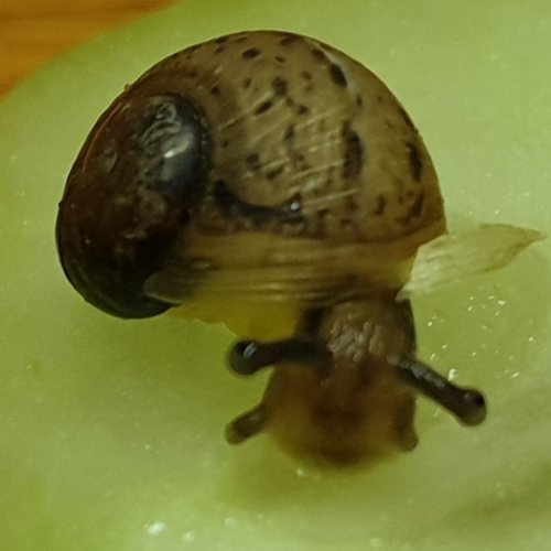 20191024_195216.jpg
