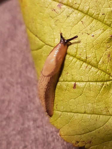 20191122_122658.jpg
