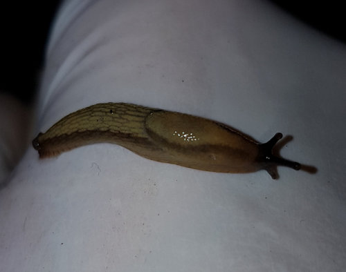 20191122_122627.jpg