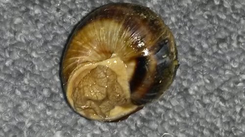 20191214_204637.jpg