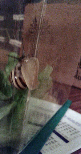 20200509_213622.jpg