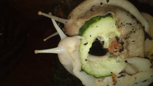 IMG_20201006_202826.jpg