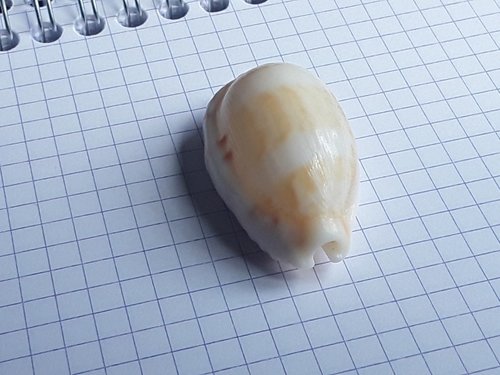 20201017_143755.jpg