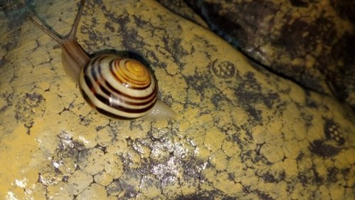IMG_20201020_131815.jpg