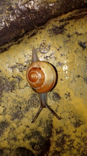 IMG_20201020_130737.jpg