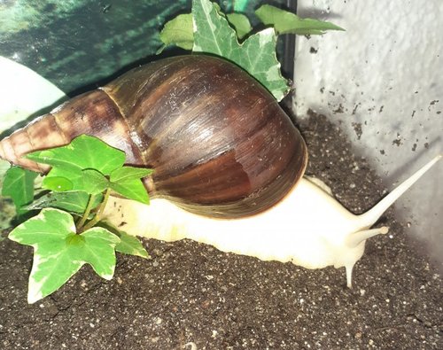 20201112_100255.jpg