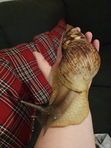 20201127_180136.jpg