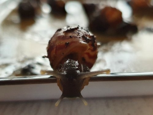 20201206_113504.jpg