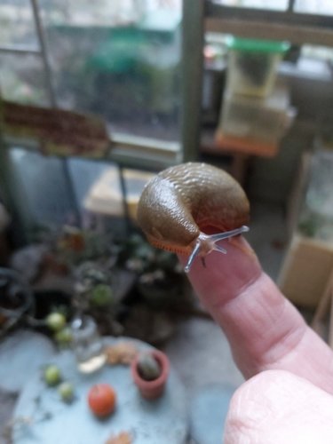 Resized_20201217_144948.jpeg