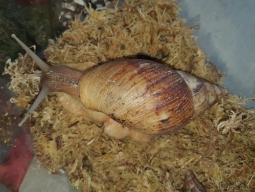 20201213_143736.jpg