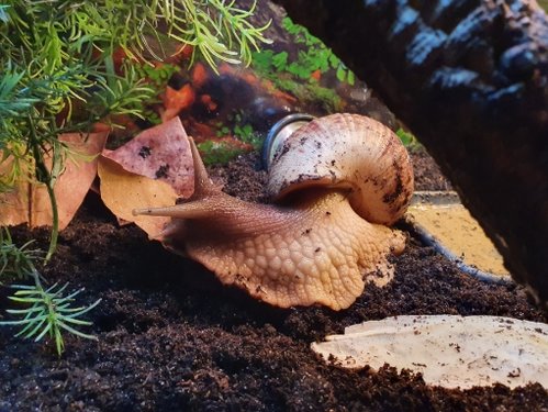20201230_175742.jpg