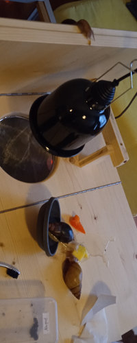 IMG_20210107_160457.jpg