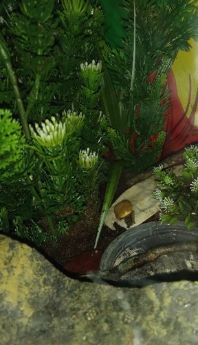 IMG_20210226_200137.jpg
