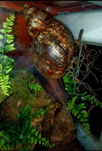 IMG_20210307_204445.png