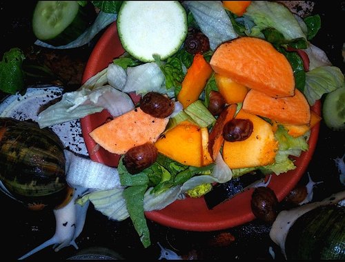 IMG_20210511_195330.png
