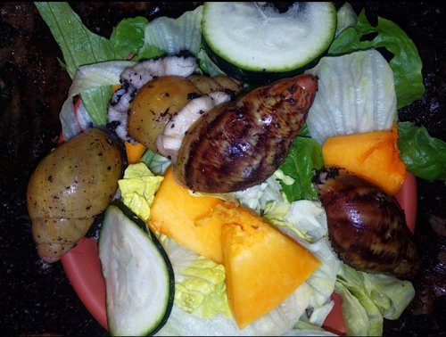 IMG_20210511_201205.png