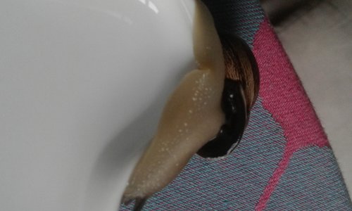 20210708_141502.jpg
