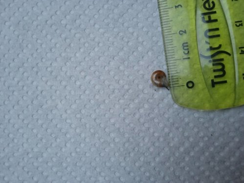 IMG_20220110_163717.jpg