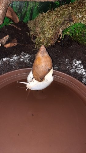 20220131_214444.jpg
