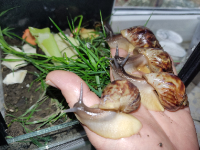 IMG_20220410_162745.jpg
