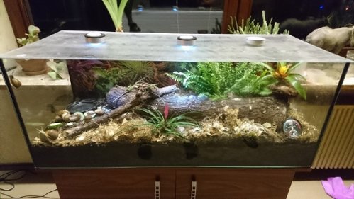 DSC_0041.JPG