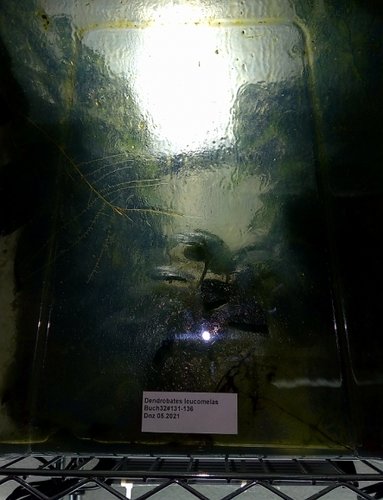 IMG_20220608_085007.png
