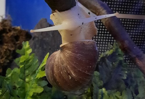 20220814_213923.jpg