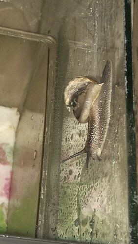 IMG-20230905-WA0006~2.jpeg