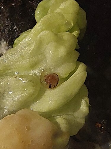 20231128_133947.jpg