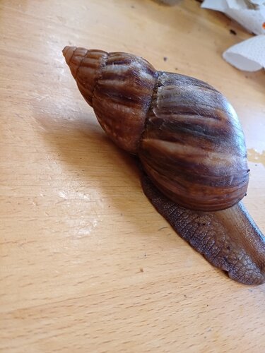 20240117_103737.jpg