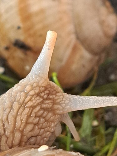 20250428_191204.jpg