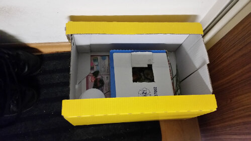 Box komplett.jpg