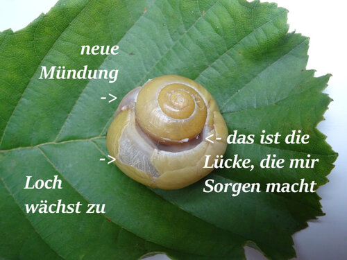 DSC08377.jpg