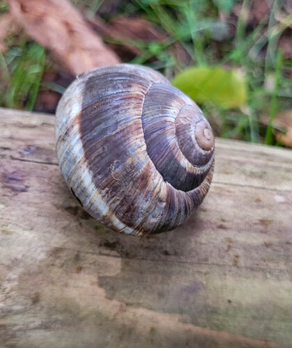 20250930_094430_.jpg