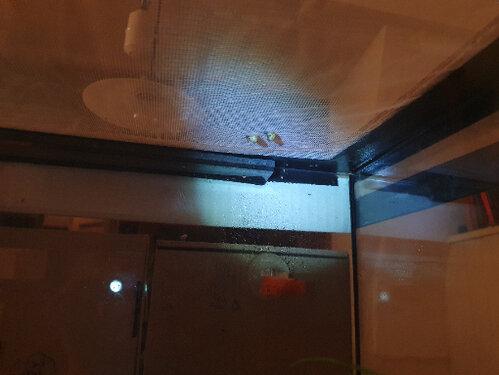 Die Nano-Zwillinge1.jpg