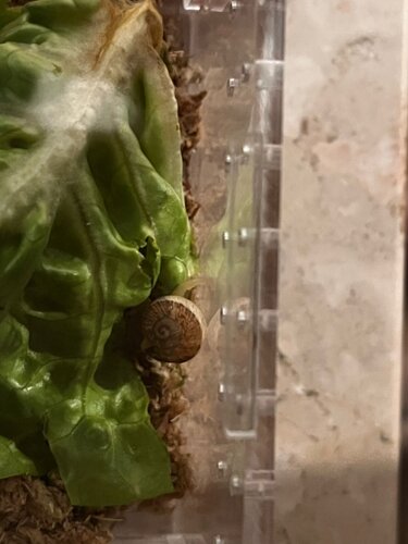 WhatsApp Image 2026-02-27 at 06.13.30.jpeg