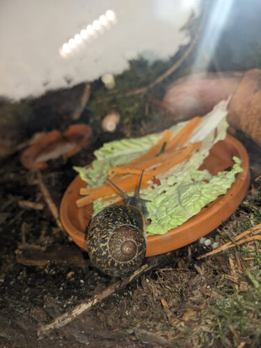 WhatsApp Image 2026-03-26 at 13.06.29.jpeg