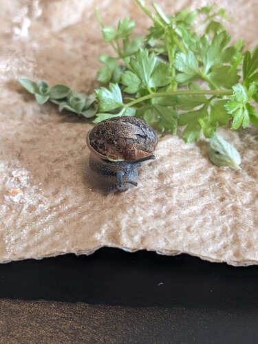 WhatsApp Image 2026-03-26 at 13.05.11.jpeg