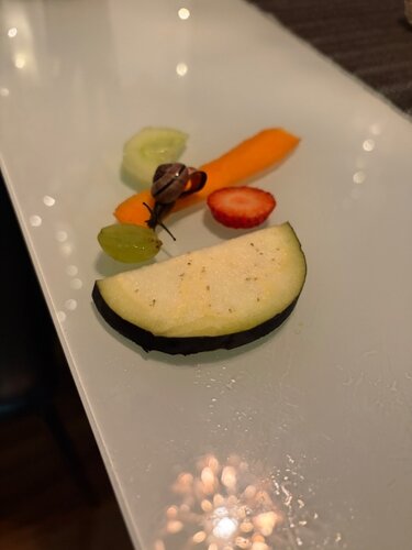 IMG_7377.jpeg