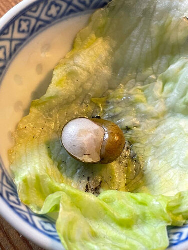 photo_2026-04-21_85475-10-13 (2).jpg