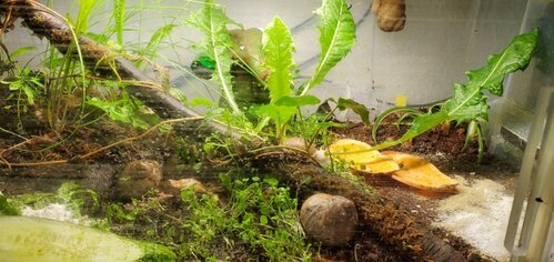 Weixin Image_2026-04-28_090914_398.jpg