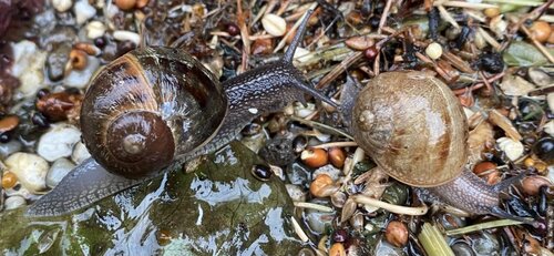 IMG_6863.jpeg