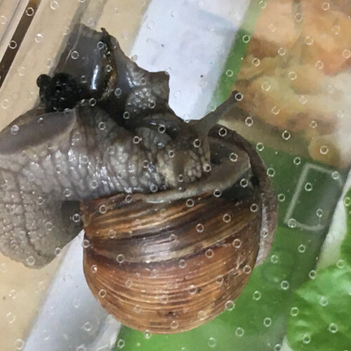 IMG_0353.jpeg